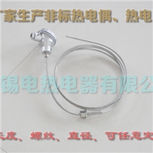 WRNK-231/PT100热电阻/铠装仿日/接线盒/热电偶/K型热电偶