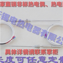 WRNK-291/PT100传感器/铠装热电偶/温度传感器测温探头/热电偶