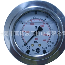 东莞供应tecsis压力表油压表