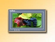 触摸屏真彩触摸屏5.7寸真彩触摸屏东莞触摸屏优惠供应触摸屏