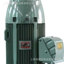 YLB280-2-4|YLB深井泵专用电机|YLB专用泵电机