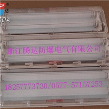BYS51-2*20防爆防腐全塑荧光灯三防灯具/防爆防腐灯具厂家优惠价