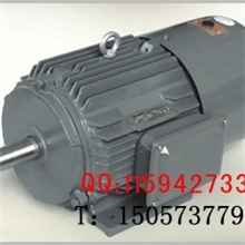 YEJ200L1-618.5KW电磁制动三相异步电动机