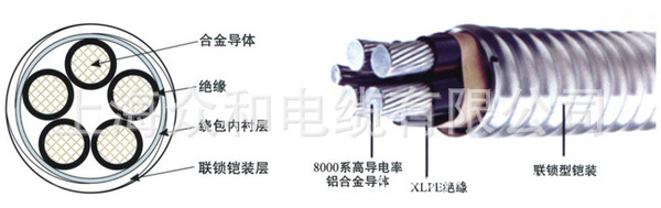 联锁铠装合金电缆WDZA-YJHLY80、90（ZA-AC90(-40)）