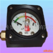 供应双针双管差压表(图)