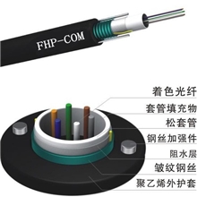 中心束管铠装光缆GYXTW光缆