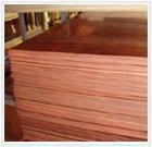 遂宁南充成都，供应铍铜合金C17200