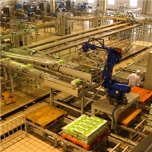 堆垛机器人、搬运机械手、全新服务最低价格