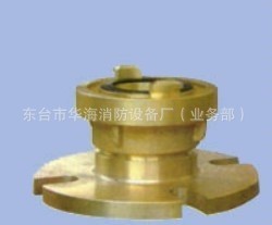 供应安全设备船用设备Dg50和Dg65国际通岸接头