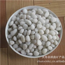 顺鑫厂家直销3-8cm的鹅卵石天然河卵石20-40cm河卵石厂家