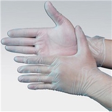 A级无粉一次性手套净化乳胶PVC手套耐油无尘手套食品用手套