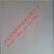 汽车滤纸空气滤纸NPA1003PA