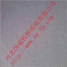 汽车滤纸工程机械滤纸NPAT1005CA