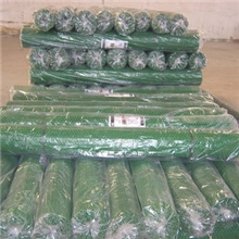 厂家专业生产养鸡网，塑料平网，塑料平网厂家，塑料平网价格