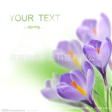 特价销售碳晶墙暖电暖器取暖器发热板电暖画真正碳晶