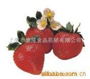 供应水果速冻生产线