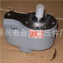 厂家供应耐磨齿轮油泵可连续工作不磨损CB-B10齿轮泵液压油泵