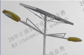 【路灯女孩】厂家订做LED太阳能路灯庭院灯草坪灯节能灯系列