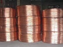 厂家批发销售QSN6.5-0.1弹簧专用磷铜线线材