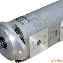 供应CBF－F双联齿轮泵