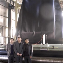 【山东新甫】长期批量优惠供应各种型号高性能土工膜设备