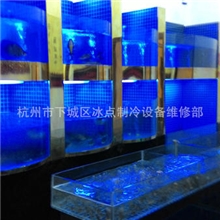 杭州-萧山&middot;余杭&middot;海鲜池工程安装维修&middot;大型亚克力观赏鱼缸