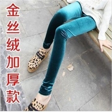 韩国绒金丝绒加绒加厚保暖九分打底裤靴裤打底九分小脚裤女批发