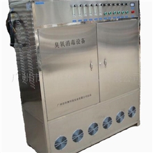 供应广州臭氧发生器.100克臭氧发生器.臭氧消毒机