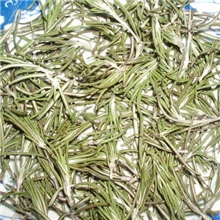 供应迷迭香香辛料(图)