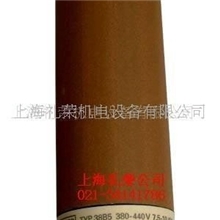 供应瑞士原装进口LEISTERTYP38B5-电热管