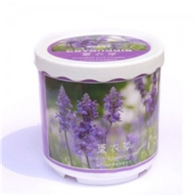 C176生态E园奇特植栽罐--薰衣草
