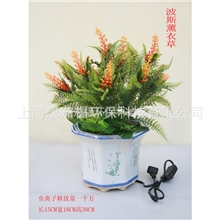 供应旅行礼品波斯薰衣草负离子活氧生态盆景优质环保礼品批发