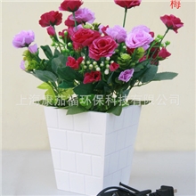 会销礼品：负离子生态盆景。独具特色，亮点多多，功能奇特效果好