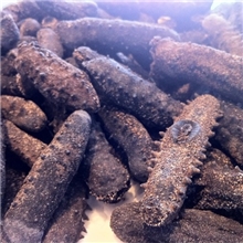 低价现货出售日本关西参