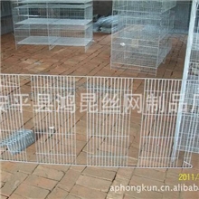 供应小鸡笼雏鸡笼小鸡育雏笼