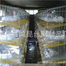 厂家供应最新兔笼种兔笼子母笼