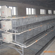 全自动养殖鸡笼蛋鸡笼鸡笼批发零售