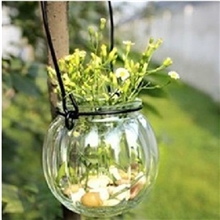 zakka日系简约南瓜吊瓶/南瓜瓶/玻璃水培容器/插花瓶/水培吊瓶