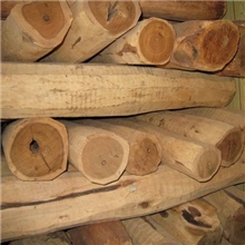 供应天然纯精油/东印度檀香精油/SandalwoodOil