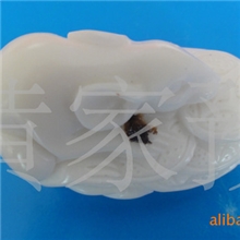 供应象牙果招财用品开业典礼节日庆典婚庆生日