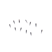 各种指南针牙钩针钩针纺织钢针优质供应厂家直销