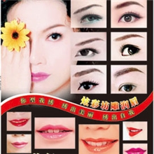 炫彩坊纹绣宣传画纹绣海报眉唇挂画批发广州纹眉纹唇图册