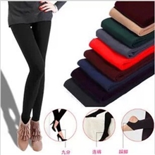 韩版新款秋冬款女打底裤加绒加厚拉毛裤加绒单层大码打底裤批发