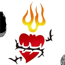 金凤凰喷绘纹身模板第10册狼毒花玫瑰花黑牡丹牵牛花情华整册包邮