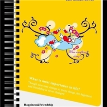 硬面抄线圈本A5【低价】【找代理】【款式多】