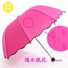 遇水开花天堂晴雨伞杭州雨伞【特价销售】款式精美！定制广告伞
