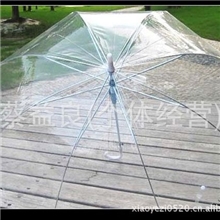 风靡时尚韩版创意直柄自动透明雨伞直柄伞道具伞