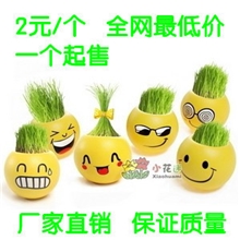 炫酷表情陶瓷草娃娃系列办公室家居迷你植物小盆栽盆景植物批发
