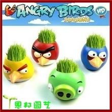 愤怒小鸟系列DIY办公室家庭迷你植物盆栽小白人长草头娃娃批发