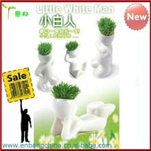 小白人草头娃娃青草种植淘气郎草头娃娃办公室家庭迷你植物